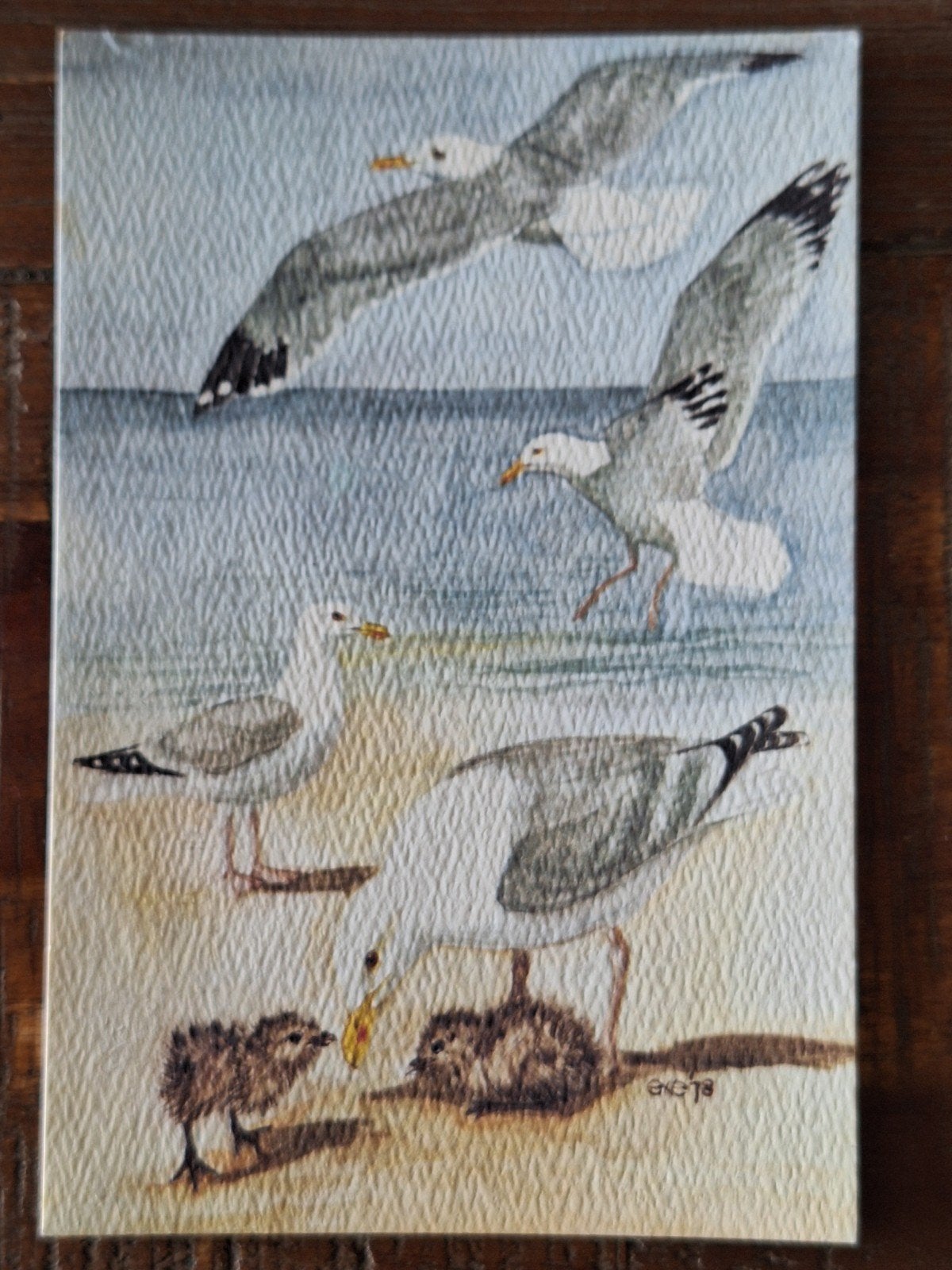 Vogels - Wadden Natuur Ansichten Nr. 26, Verzamelen, Ophalen of Verzenden, 1980 tot heden, Gelopen, Vogel