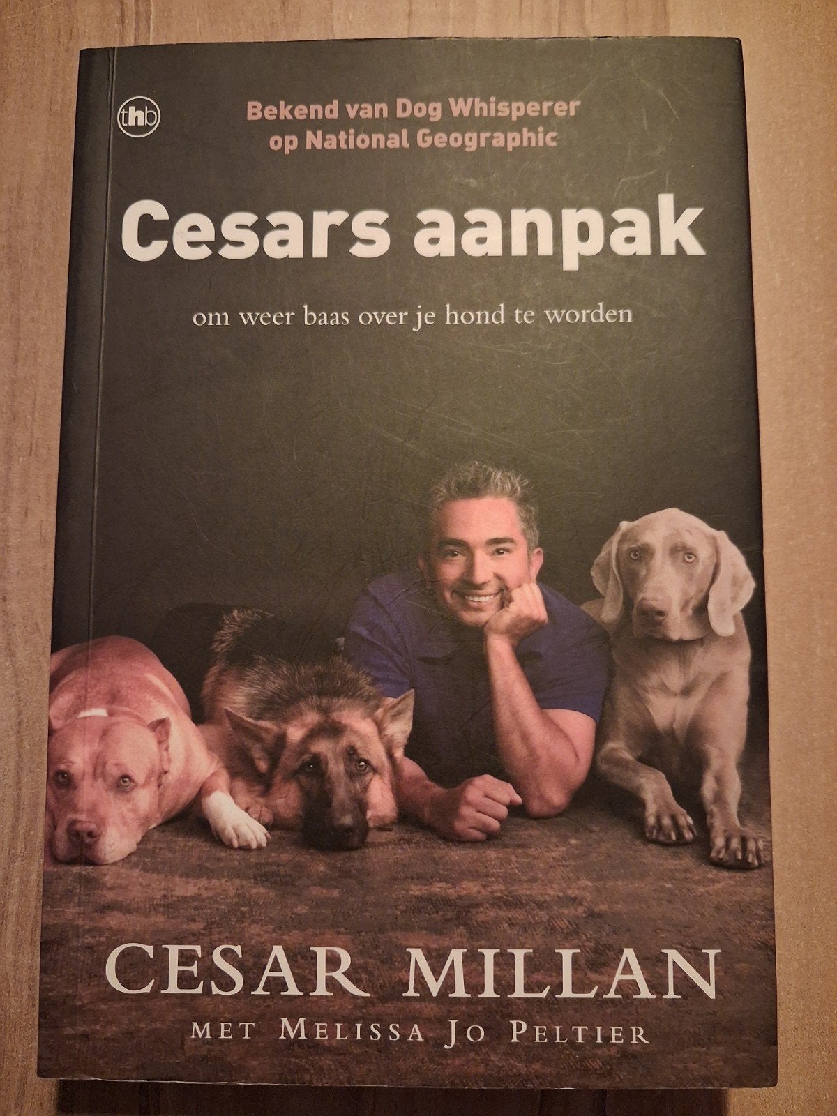 Cesar Millan - Cesars aanpak, Ophalen, Honden, Cesar Millan, Zo goed als nieuw