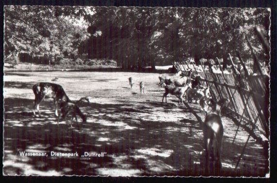 Wassenaar - Dierenpark Duinrell, Verzamelen, Ansichtkaarten | Nederland, Verzenden, 1960 tot 1980, Gelopen, Zuid-Holland