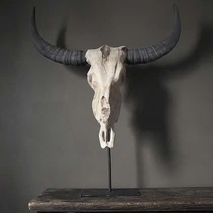 Grote houten buffelkop buffel schedel gewei wand & standaard, Verzamelen, Ophalen, Nieuw, Wild dier, Gewei of Kop