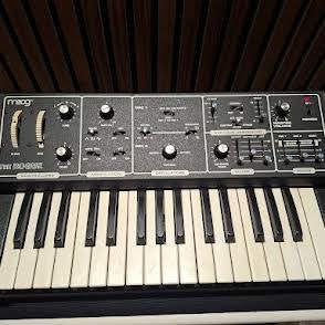 Moog Rogue, Muziek en Instrumenten, Ophalen, Gebruikt, Overige aantallen, Overige merken