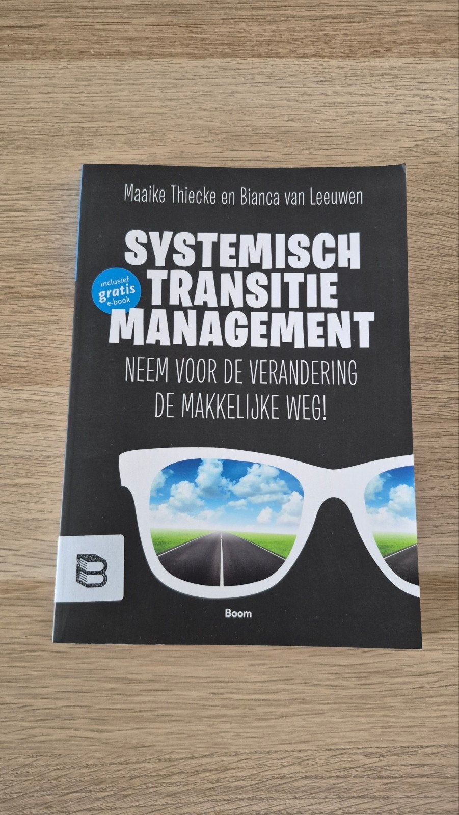 Systemisch Transitie Management, Boeken, Studieboeken en Cursussen, Zo goed als nieuw, Maaike Thiecke en Bianca van Leeuwen, Gamma