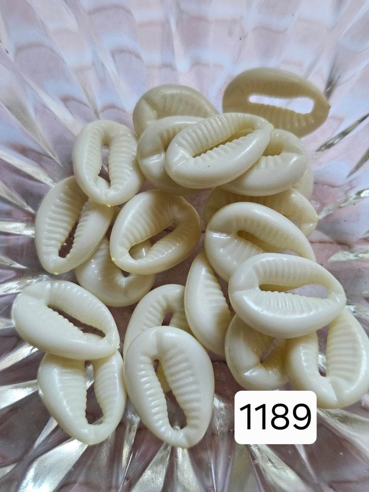20x Witte Kauri Schelpen Kralen (1189), Ophalen of Verzenden, Nieuw, Kraal