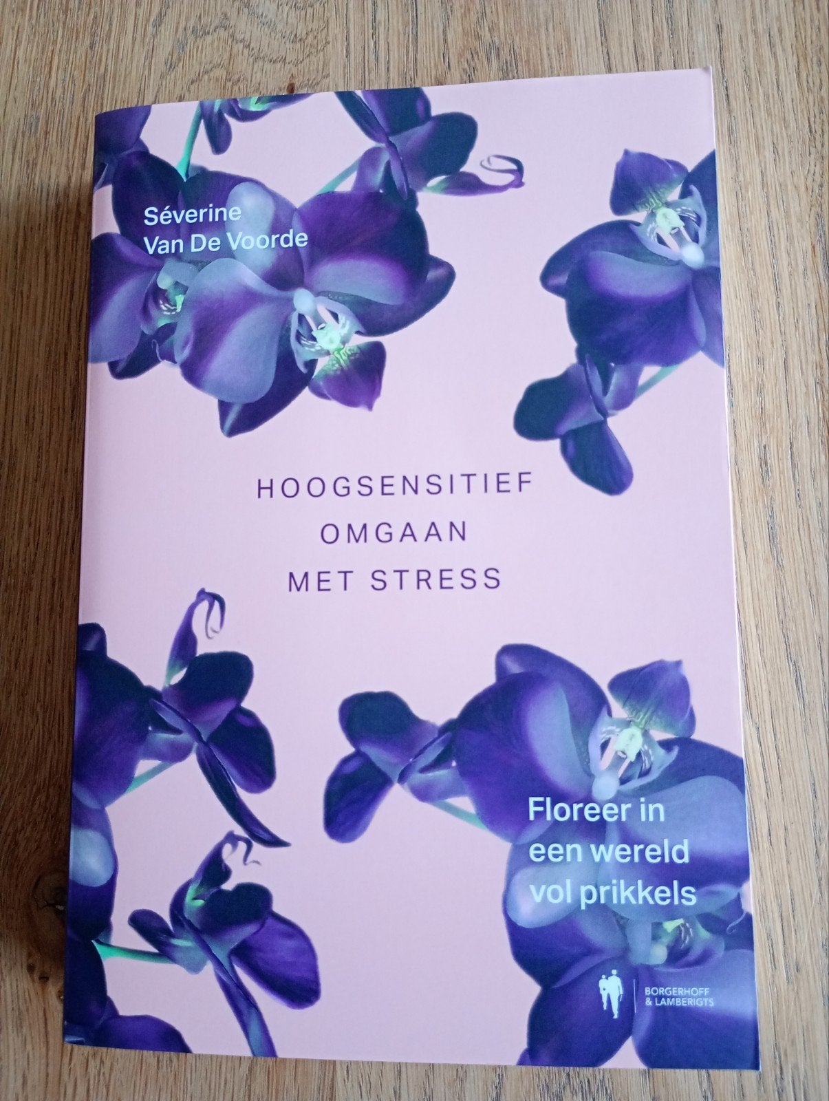 Séverine Van De Voorde - Hoogsensitief omgaan met stress, Ophalen of Verzenden, Nieuw, Séverine Van De Voorde