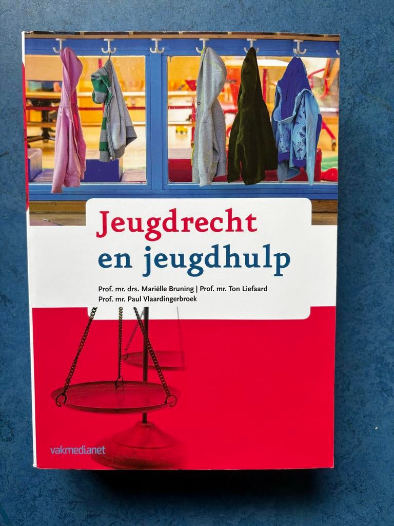 Boek Jeugdrecht en jeugdhulp, Boeken, Studieboeken en Cursussen, Ophalen of Verzenden, Gamma, Nieuw, WO