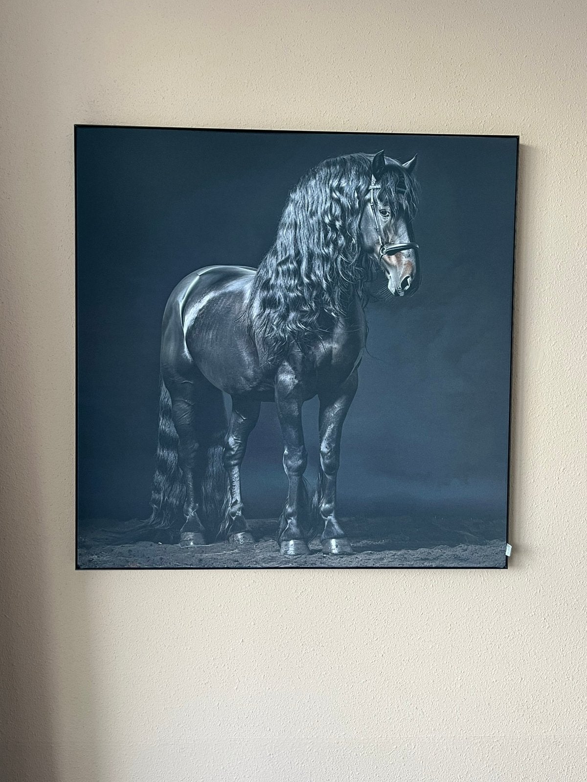 Werk aan de muur schilderij art frame, Ophalen of Verzenden, Zo goed als nieuw, 50 tot 75 cm, Schilderij