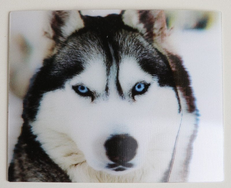 3D City Line kaart hond / husky, nieuw, Ophalen of Verzenden, 1980 tot heden, Ongelopen, Hond of Kat