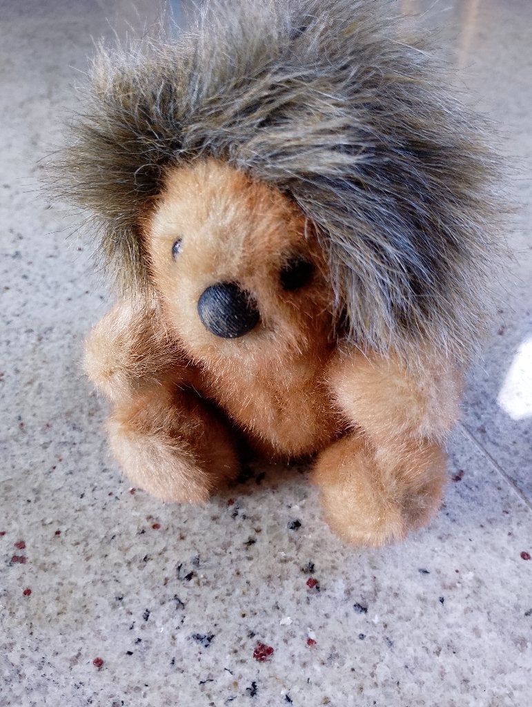 Knuffel egel, Ophalen of Verzenden, Gebruikt