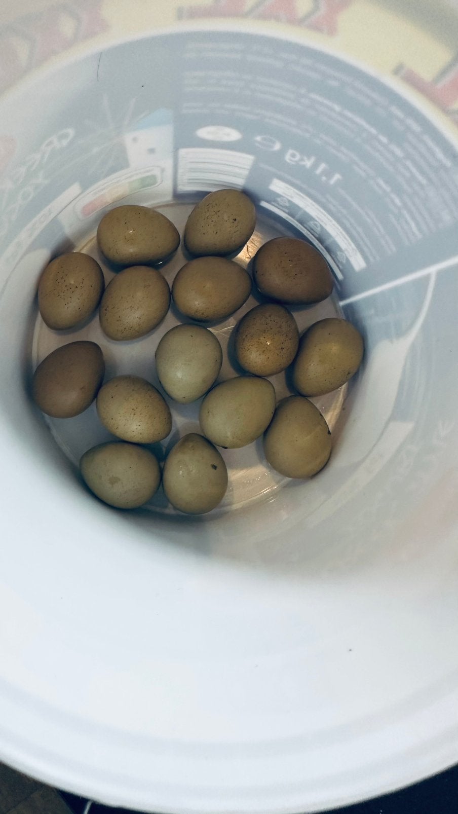 Broedeitjes chinese kwartels, Dieren en Toebehoren, Vogels | Overige Vogels, Geslacht onbekend