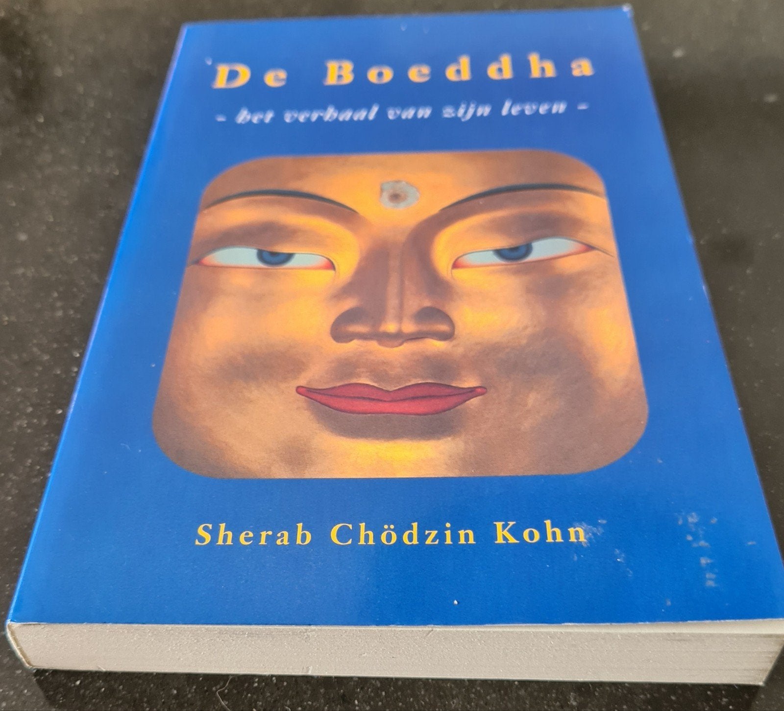 De Boeddha, het verhaal van zijn leven - Sherab Chödzin Kohn, Ophalen of Verzenden, Zo goed als nieuw, Spiritualiteit algemeen