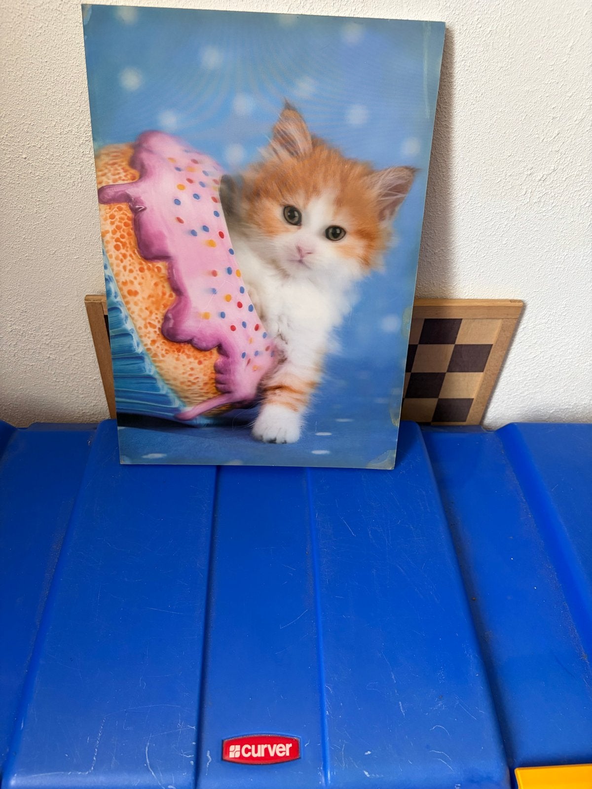 Schattige kitten met donut, 50 – 75, Minder dan 50 cm, Gebruikt, Ophalen of Verzenden