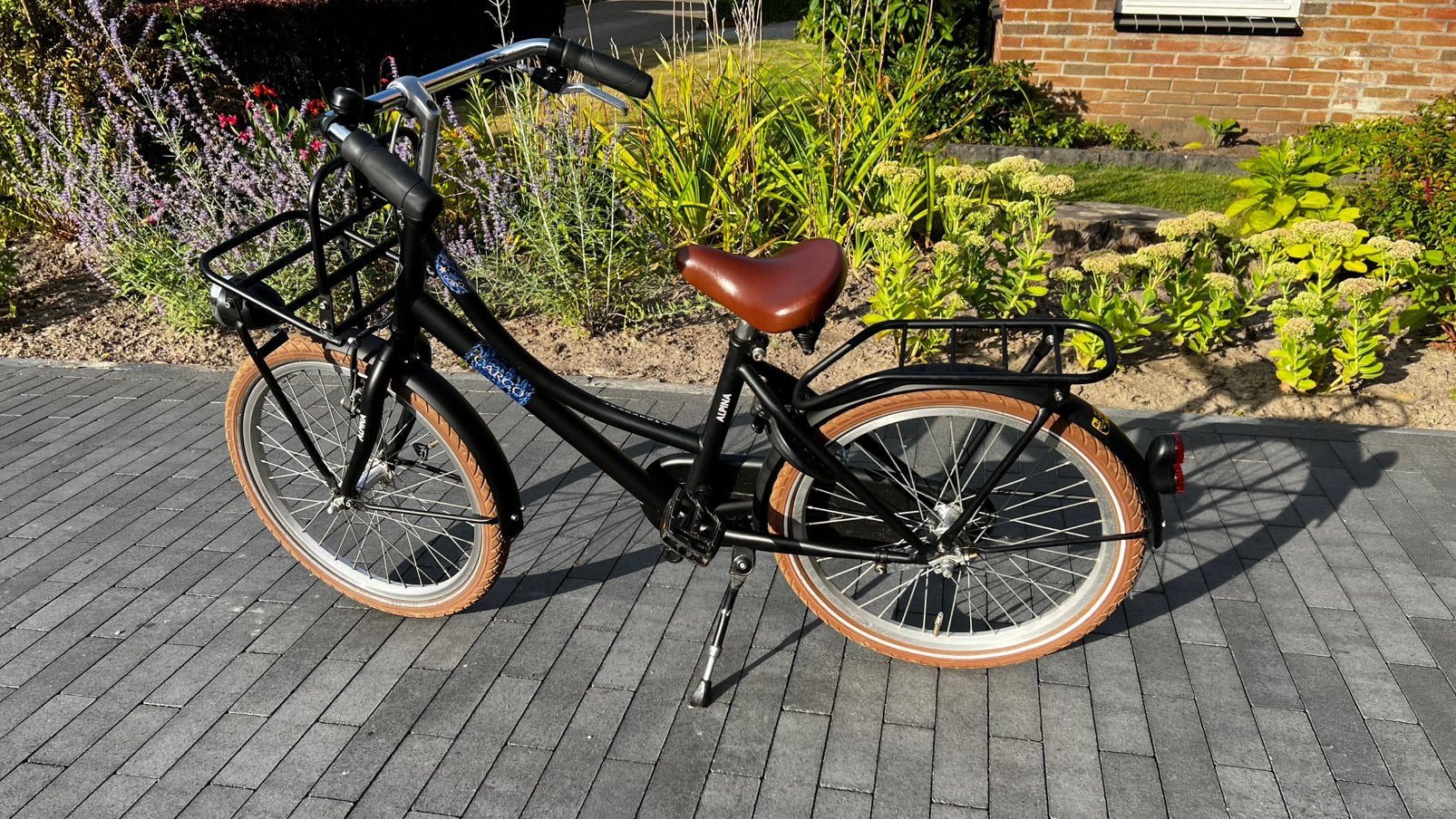 Meisjesfiets Alpina Cargo 20 inch, Fietsen en Brommers, Fietsen | Meisjes, Ophalen, Terugtraprem, Gebruikt, Handrem