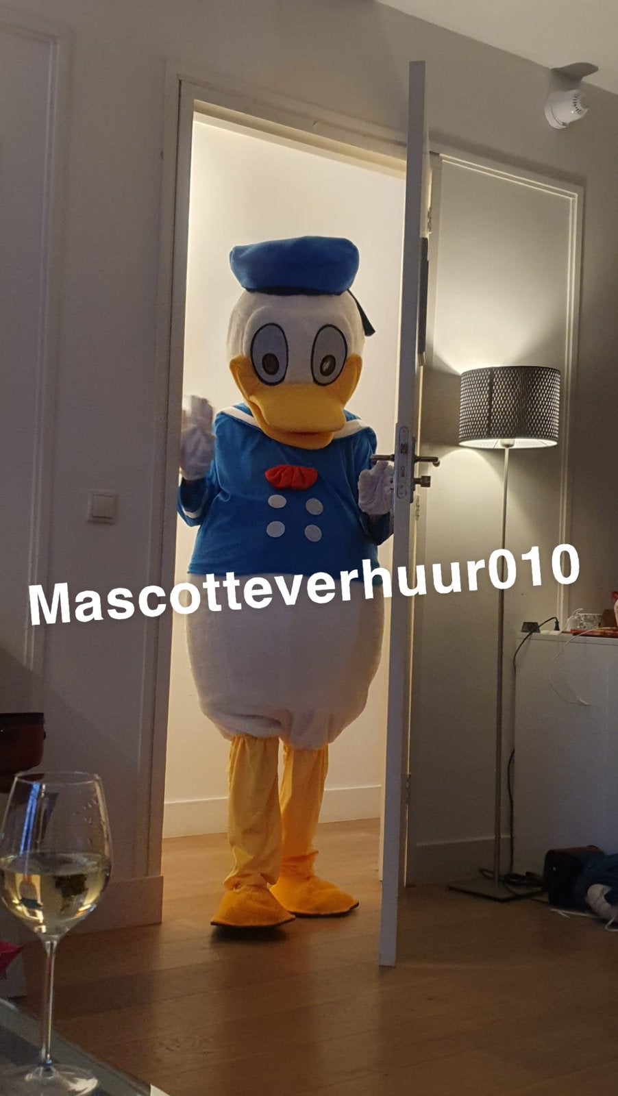 Donald Duck mascotte te huur, Ophalen, Zo goed als nieuw, Verjaardag