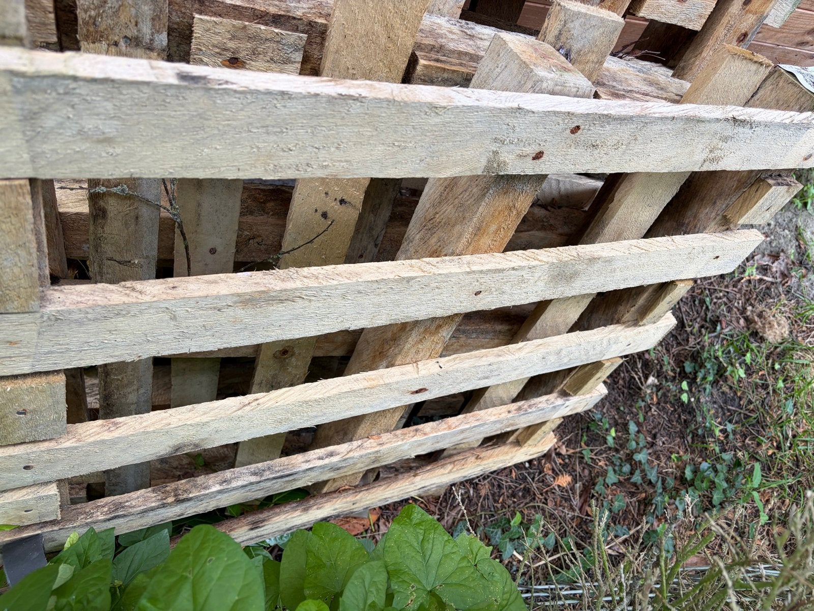 Gratis houten pallets (4x) 100x85 cm, Ophalen, Zo goed als nieuw, 50 mm of meer, Pallet