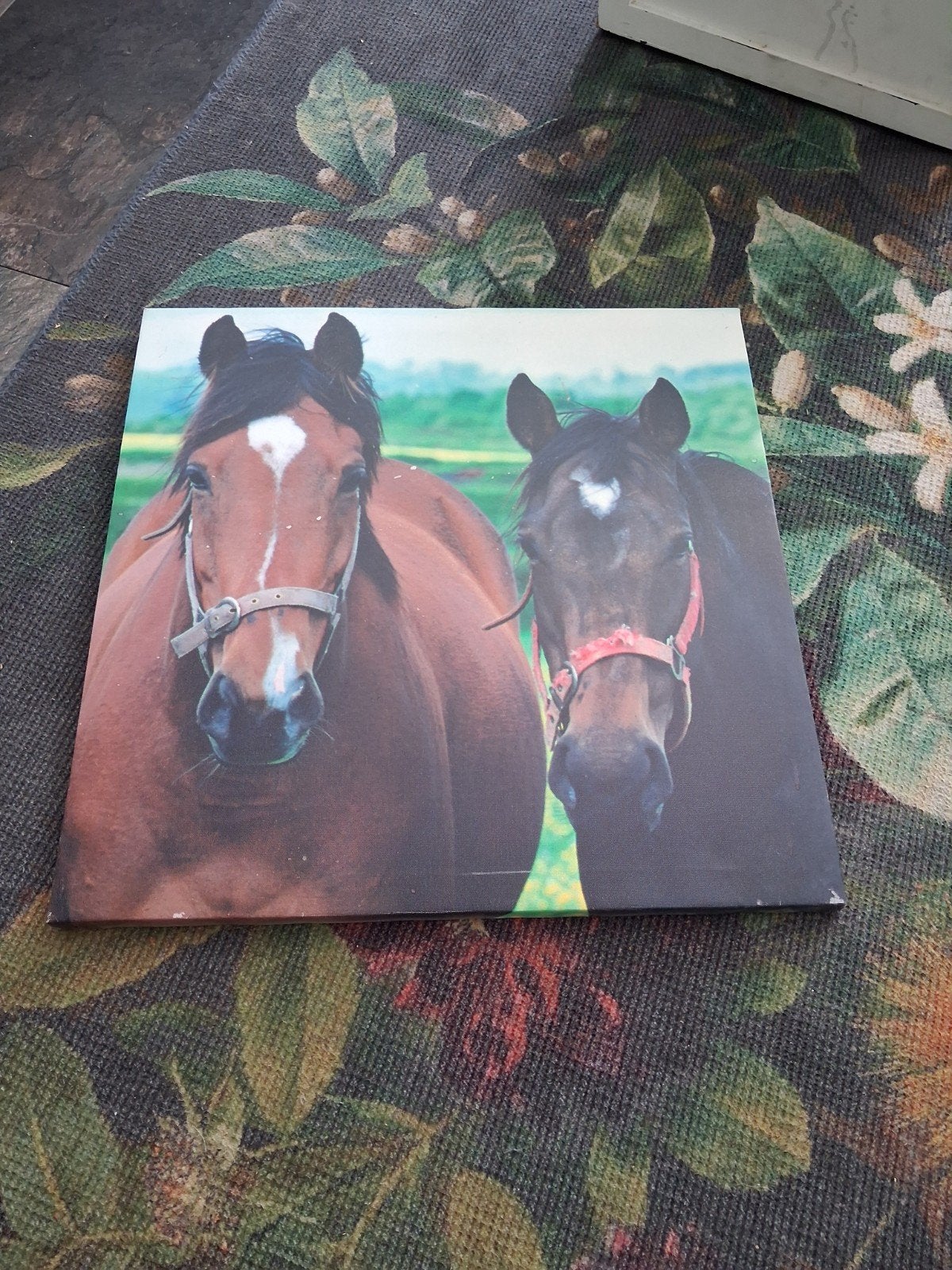 Mooi paardenschilderij op canvas, Antiek en Kunst, Kunst | Schilderijen | Klassiek, Ophalen, Doek, Realistisch, Dieren