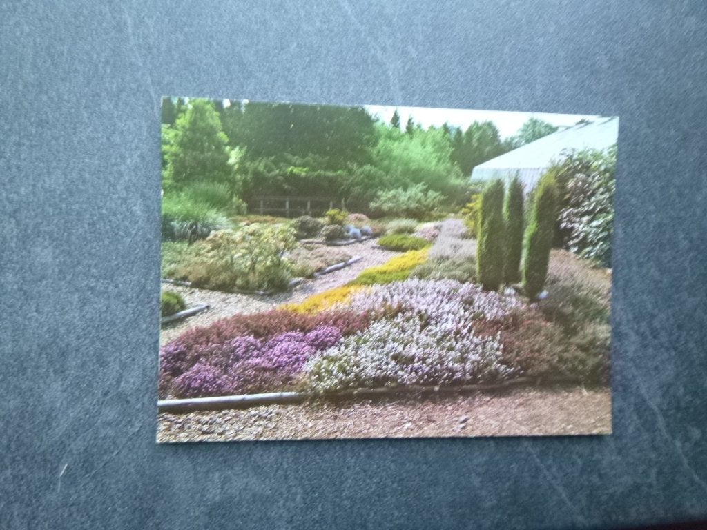 Tegelen, botanische tuin, Verzamelen, Ansichtkaarten | Nederland, Verzenden, 1980 tot heden, Ongelopen, Noord-Brabant