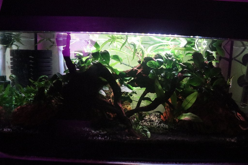 Aquarium 60x30x30, Dieren en Toebehoren, Vissen | Aquaria en Toebehoren, Ophalen, Inclusief vissen, Gebruikt, Leeg aquarium
