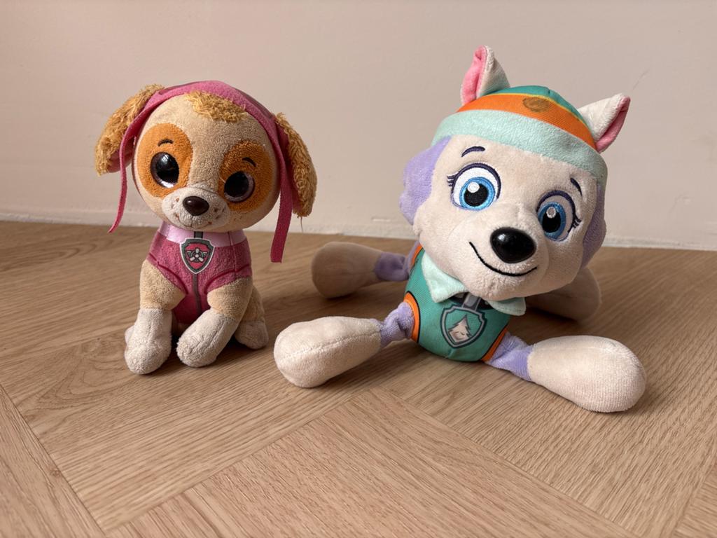 Paw Patrol knuffels Skye en Everest, Ophalen, Gebruikt, Overige merken, Hond