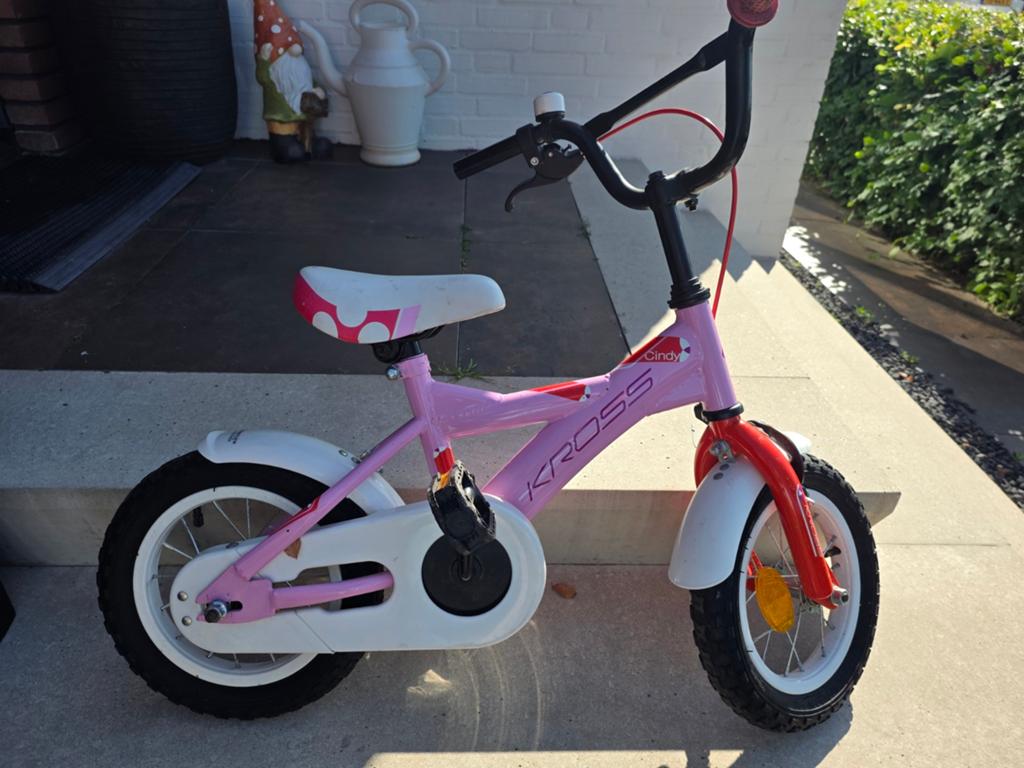 12 inch roze fiets zgan, Ophalen of Verzenden, Zo goed als nieuw, Minder dan 16 inch