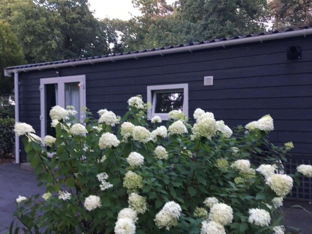 Te koop Recreatiewoning Beekbergen, 42 m², Chalet, Gelderland, 2 slaapkamers