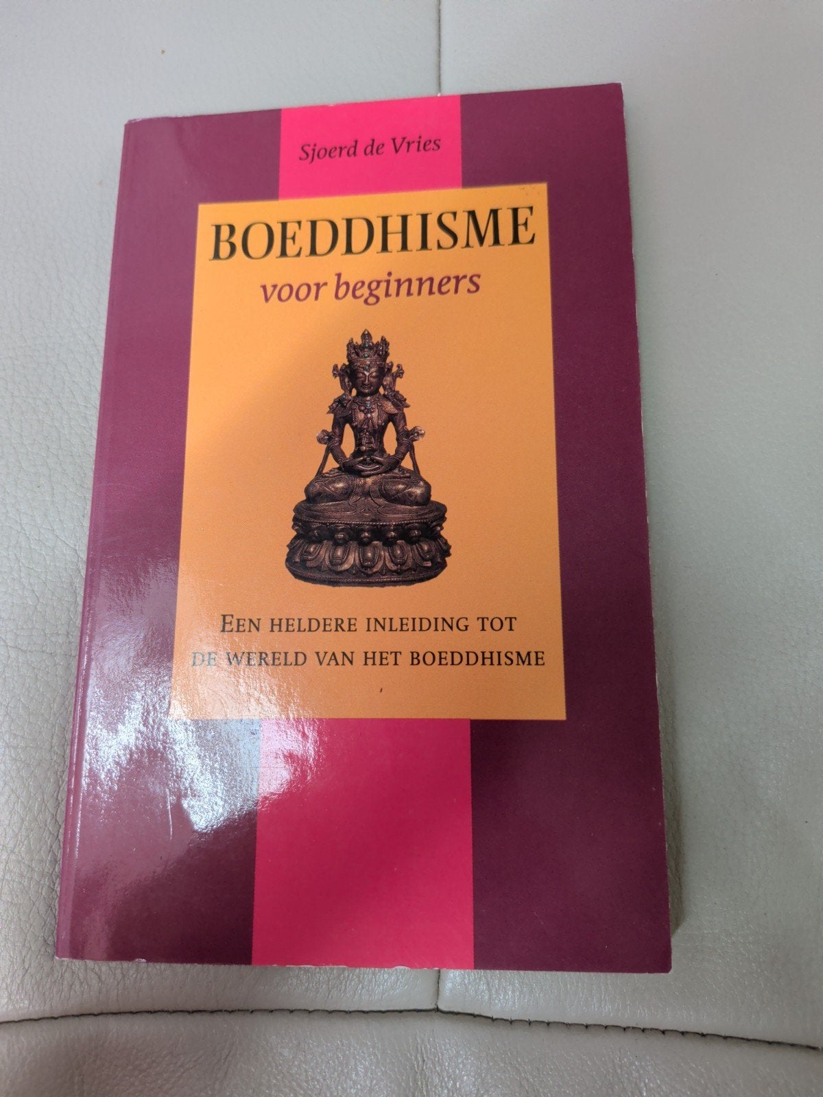 Sjoerd de Vries - Boeddhisme voor beginners, Ophalen of Verzenden, Zo goed als nieuw, Sjoerd de Vries, Boeddhisme
