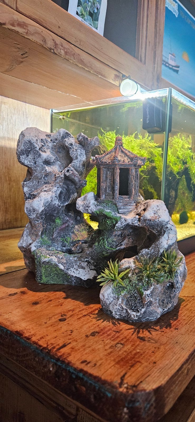 Aquarium decoratie 'Pagode' 19 cm hoog, Ophalen of Verzenden, Gebruikt, Plant(en), Steen of Hout