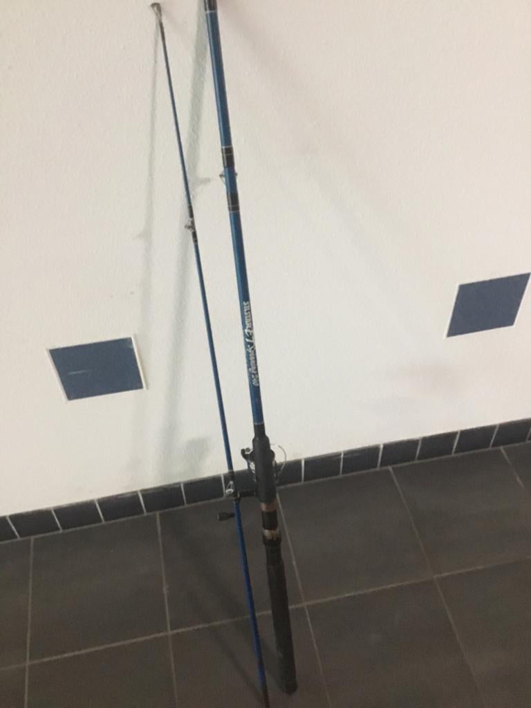 Spinhengel, Watersport en Boten, Ophalen of Verzenden, Gebruikt, Complete hengel