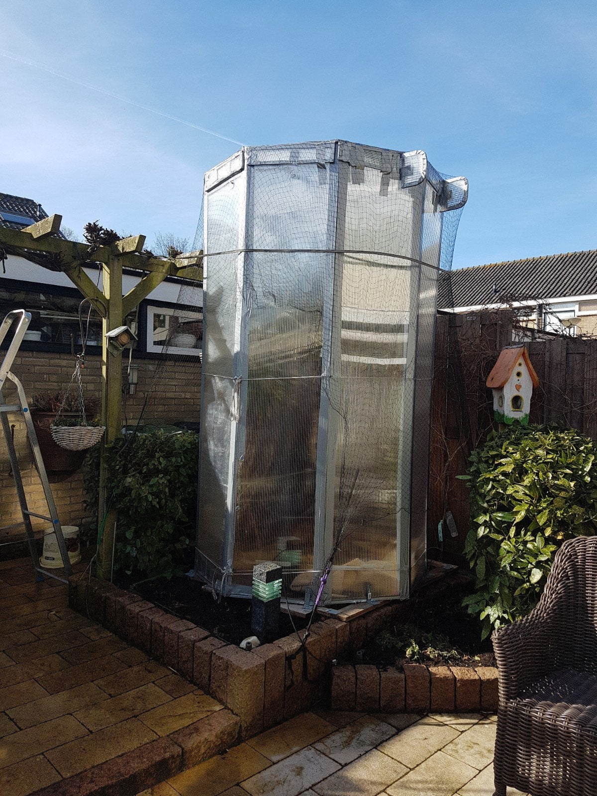 policarbonaat kast voor bescherming plant of beeld., Tuin en Terras, Kassen, Ophalen, Polycarbonaat, Gebruikt, Kweekkas