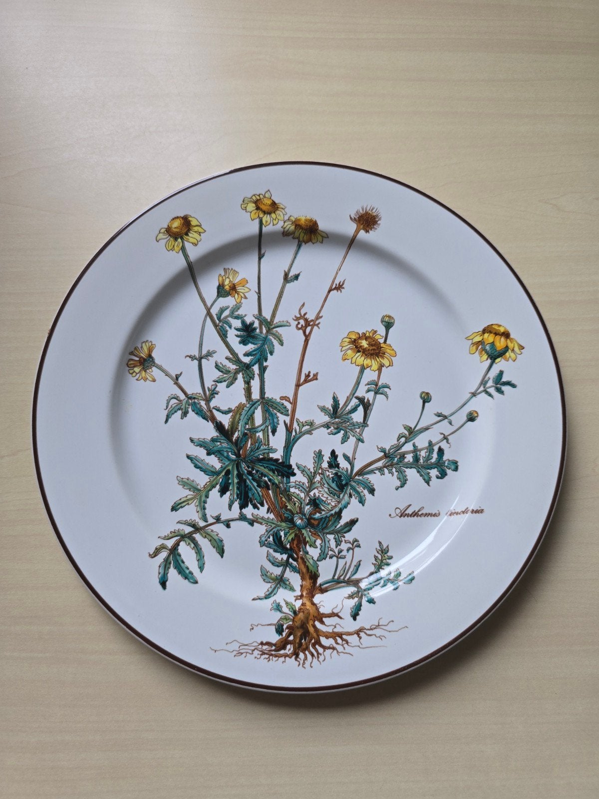 Villeroy & Boch Botanica groot bord - Porselein, Klassiek, Villeroy & Boch, Ophalen of Verzenden, Zo goed als nieuw