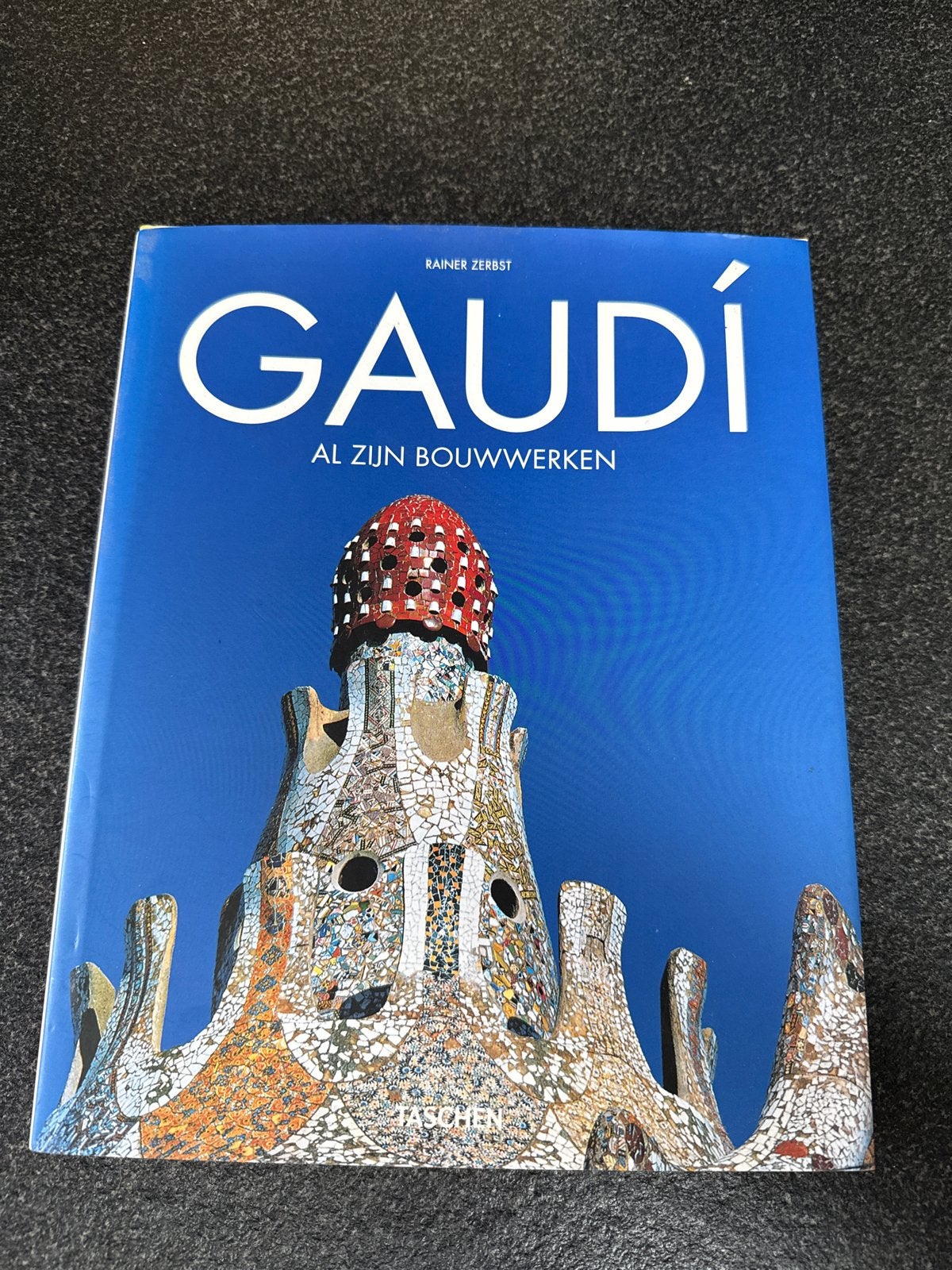 Alle bouwwerken van Antoni Gaudí - Taschen boek, Ophalen of Verzenden, Gelezen, Architecten