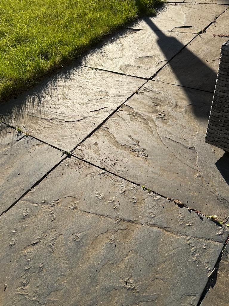 Gezocht leisteen tegels, Tuin en Terras, Tegels en Klinkers, Ophalen, Zo goed als nieuw, Natuursteen, Terrastegels