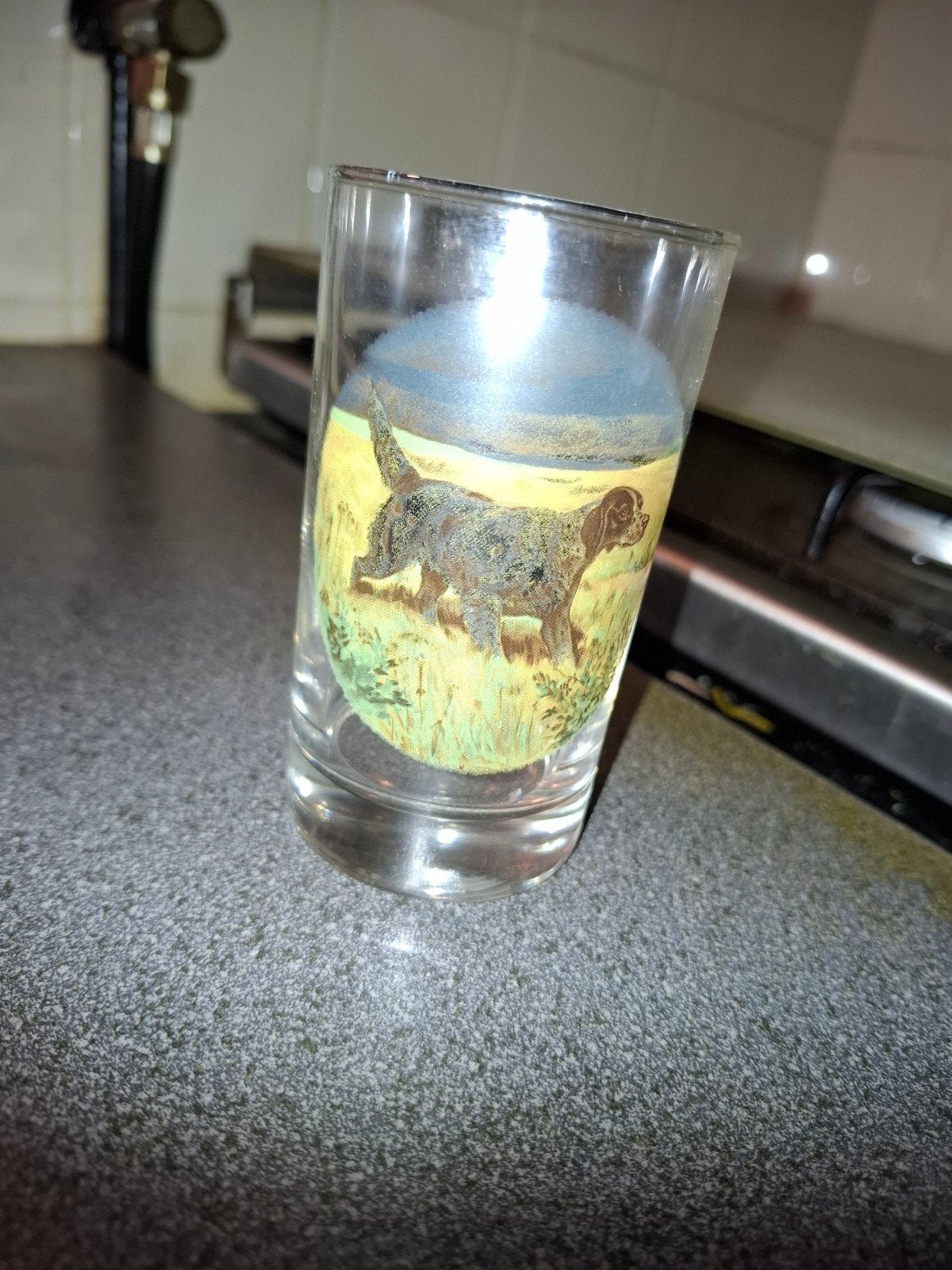 glas van engelse setter, Verzamelen, Ophalen