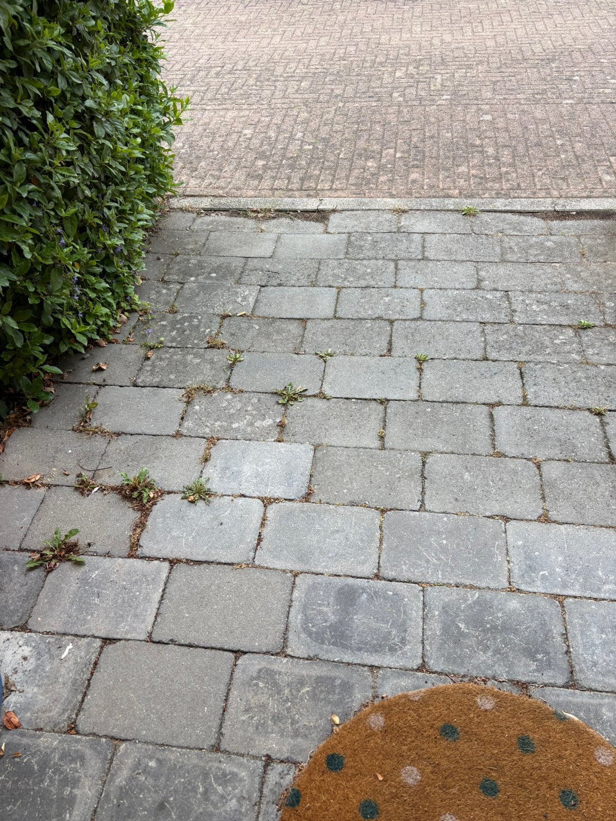 Gratis betontegels, Ophalen, Gebruikt