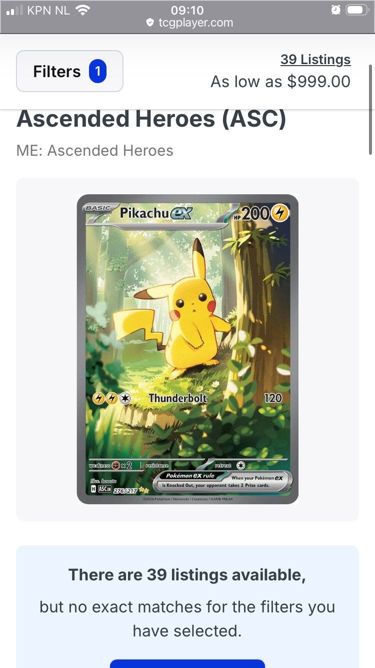 RUILEN GEZOCHT PIKACHU SIR, Ophalen, Zo goed als nieuw