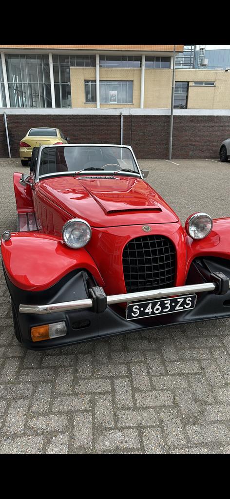 Panther kallista, Particulier, Te koop