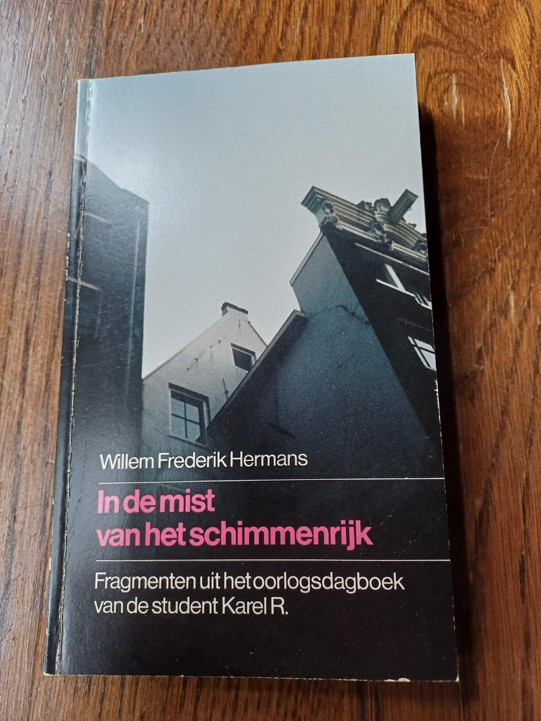 L1 W.F. Hermans - In de mist van het schimmenrijk, Boeken, Boekenweekgeschenken, Ophalen of Verzenden