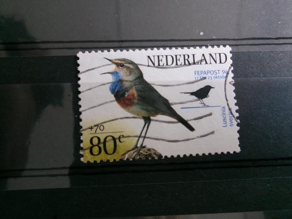 1994 - blauwborstje (485b), Verzenden, Gestempeld