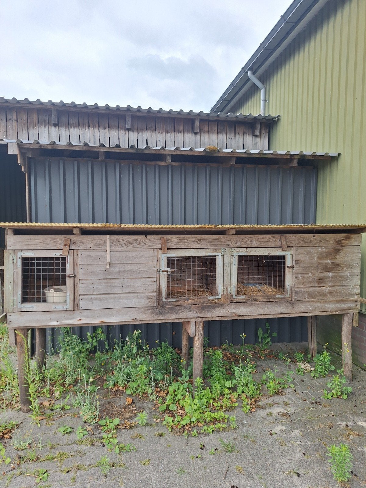 Konijnenhok, Dieren en Toebehoren, Knaagdieren en Konijnen | Hokken en Kooien, Ophalen, 90 cm of meer, Hok, 110 cm of meer