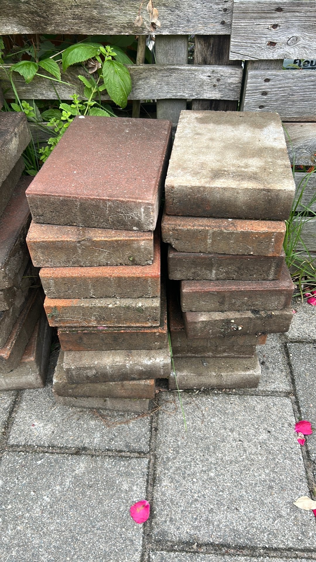 60 gebruikte terrastegels 20x30 cm, Tuin en Terras, Ophalen, Gebruikt, 5 tot 10 m², Terrastegels