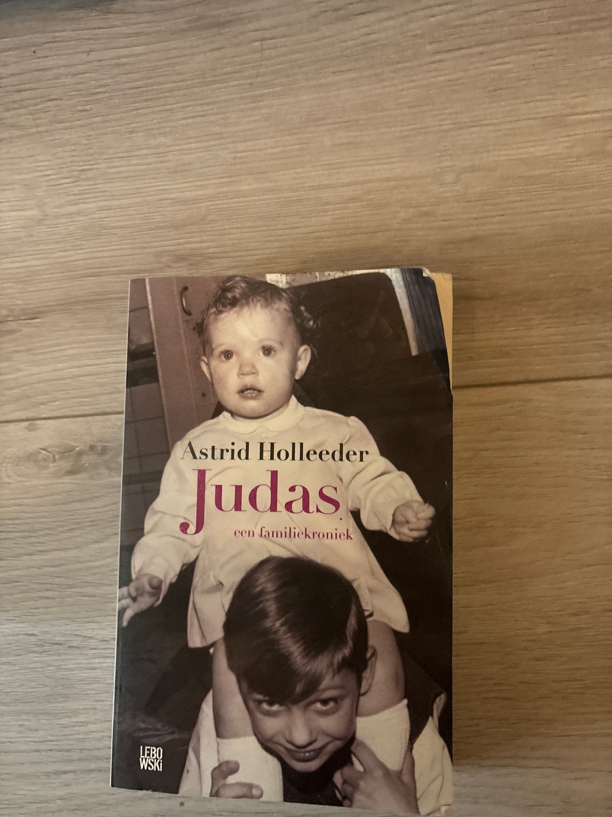 Judas - Een familiekroniek door Astrid Holleeder, Verzenden, Gelezen, Overige