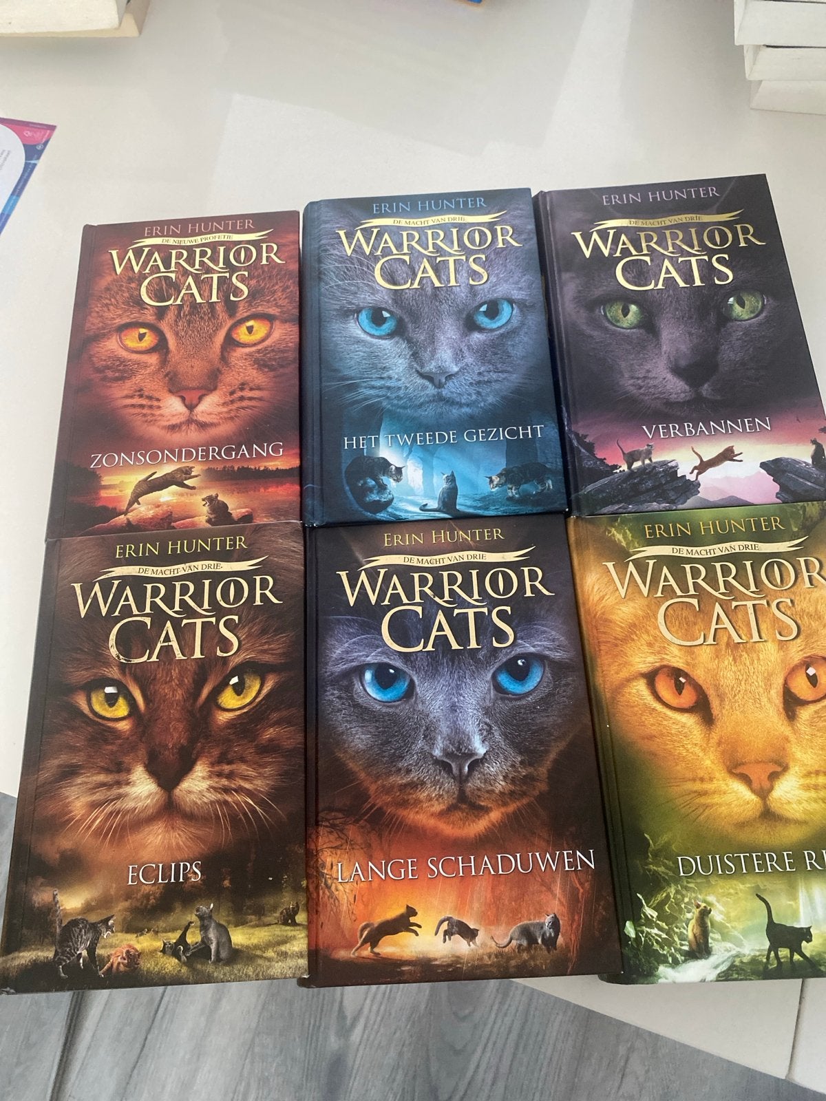 Warrior Cats boeken - De Nieuwe Profetie & De Macht van Drie, Ophalen, Zo goed als nieuw