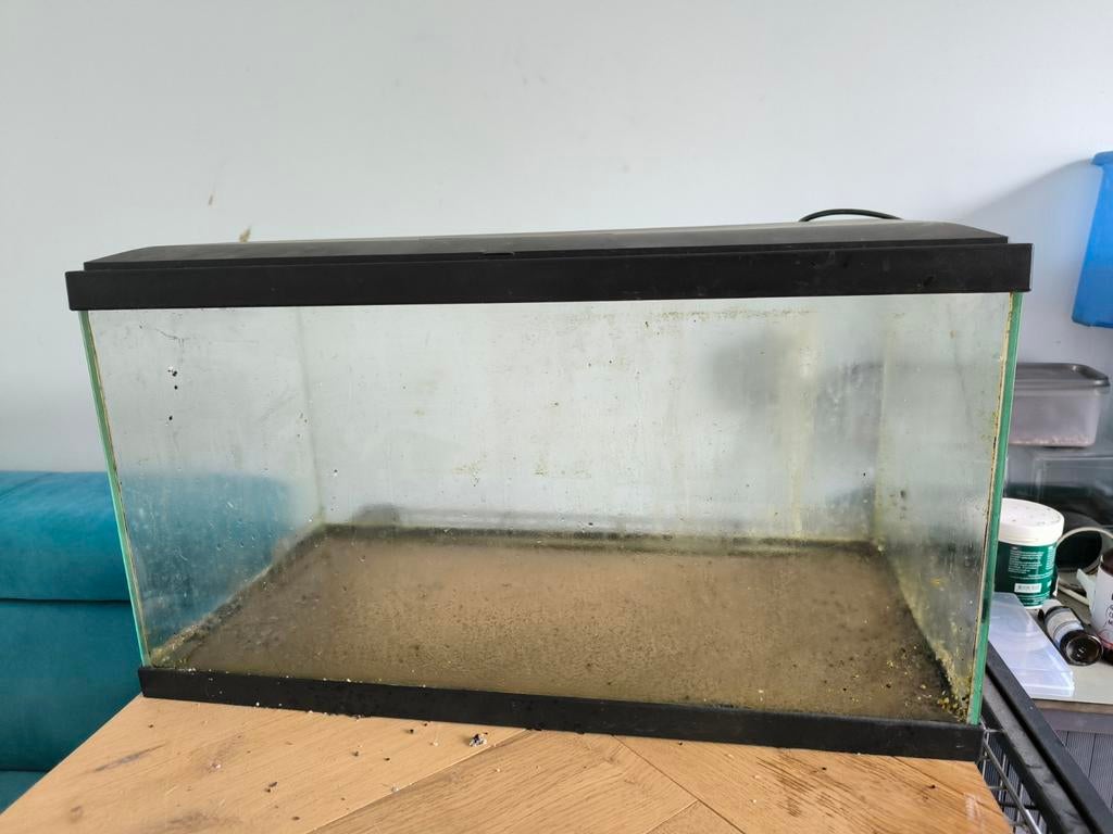 Aquarium, Dieren en Toebehoren, Vissen | Aquaria en Toebehoren, Gebruikt, Leeg aquarium, Ophalen