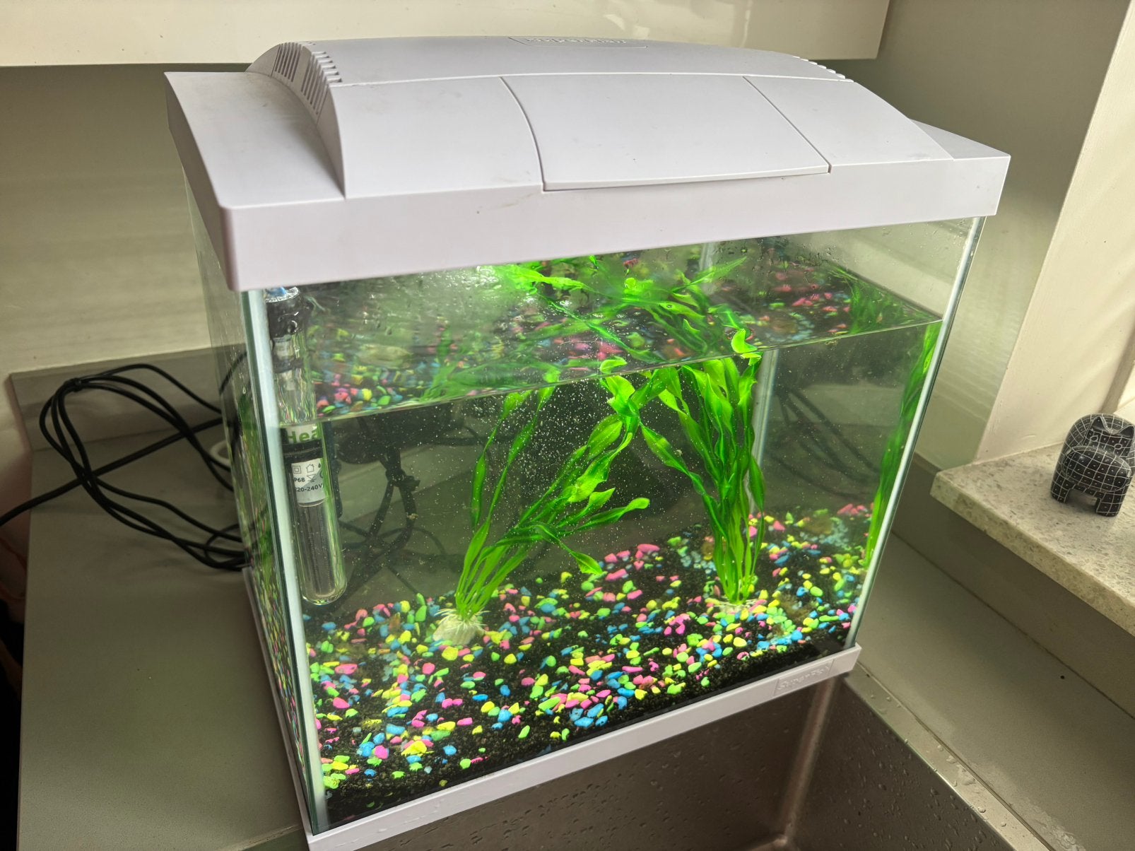 Superfish aquarium met filterpomp en thermostaat, Dieren en Toebehoren, Vissen | Aquaria en Toebehoren, Ophalen, Verwarming, Gebruikt