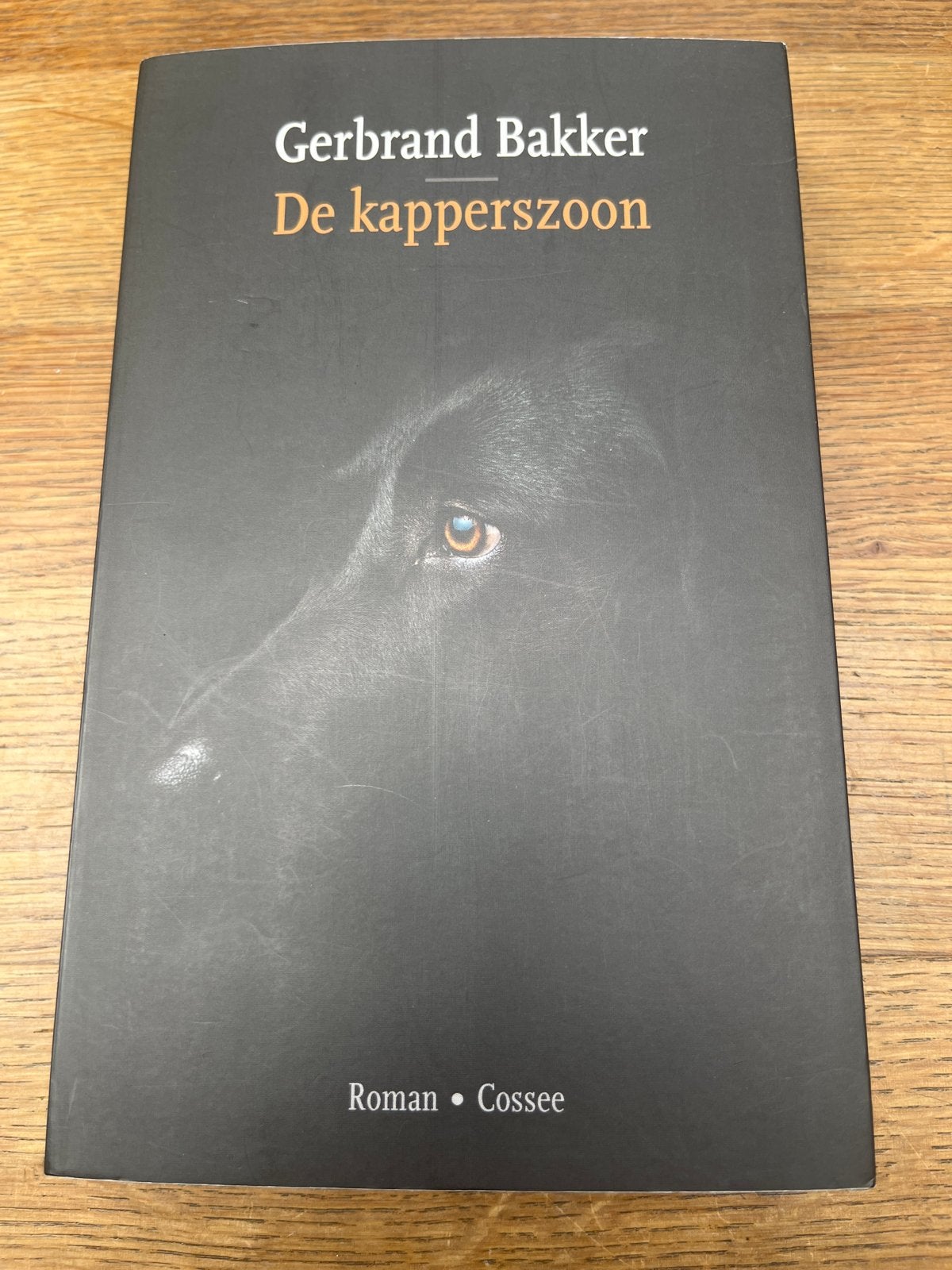 Gerbrand Bakker - De kapperszoon (Roman), Boeken, Ophalen of Verzenden, Zo goed als nieuw, Nederland