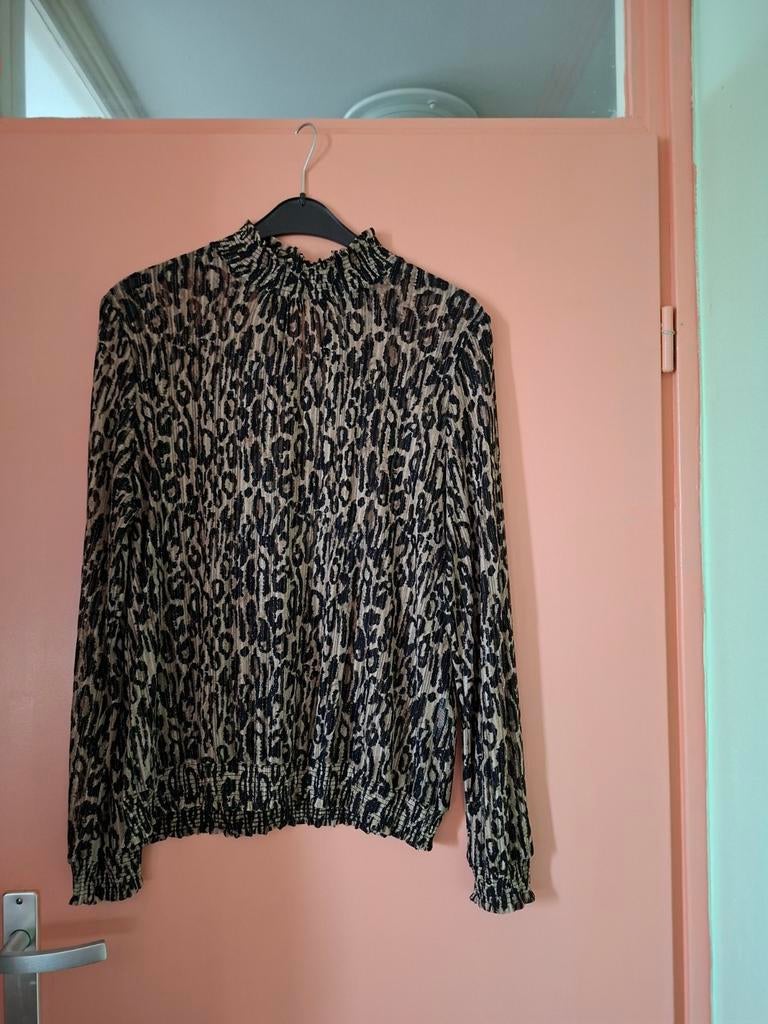 Blouse chiffon, Kleding | Dames, Blouses en Tunieken, Ophalen of Verzenden, Zo goed als nieuw, Maat 46/48 (XL) of groter
