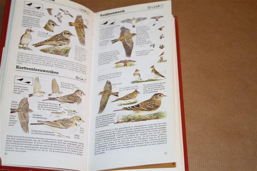 Vogels. Zakgids. Peter Hayman., Ophalen of Verzenden, Gelezen, Vogels