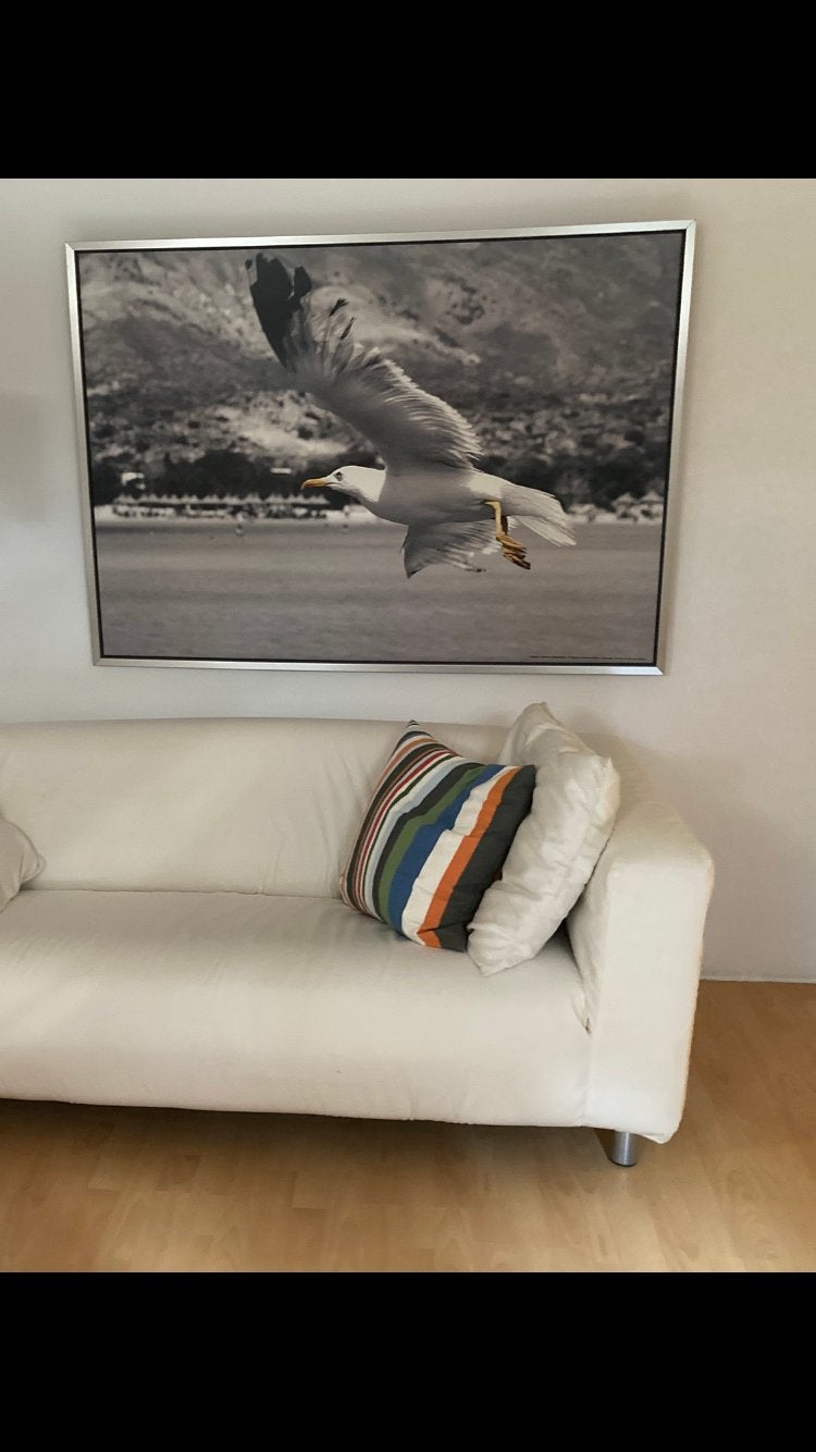 Ingelijste poster meeuw - IKEA, 50 – 75, Gebruikt, Ophalen of Verzenden, 75 tot 100 cm