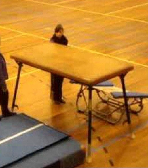 Tafel groepsspringen  Turnbok vintage turninrichting gymzaal, Ophalen, Gebruikt, Rood, Materiaal