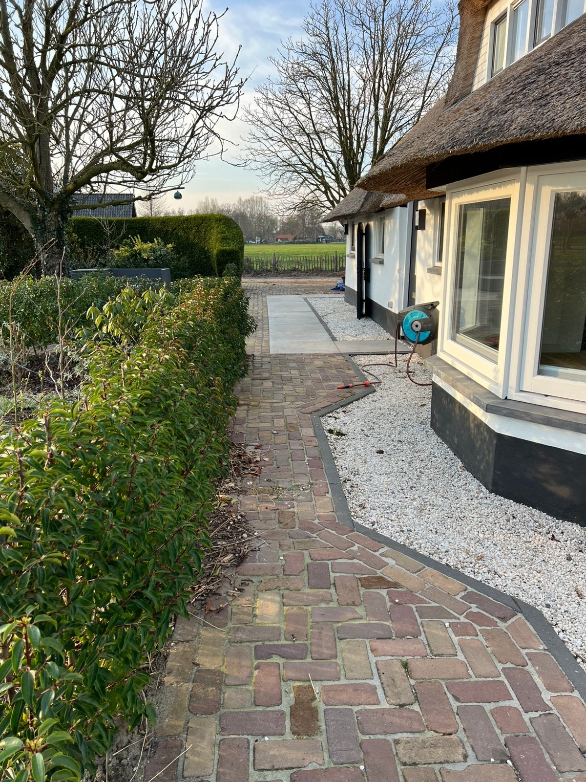 Portugese laurier, Tuin en Terras, Planten | Struiken en Hagen, Ophalen, Laurier, 100 tot 250 cm