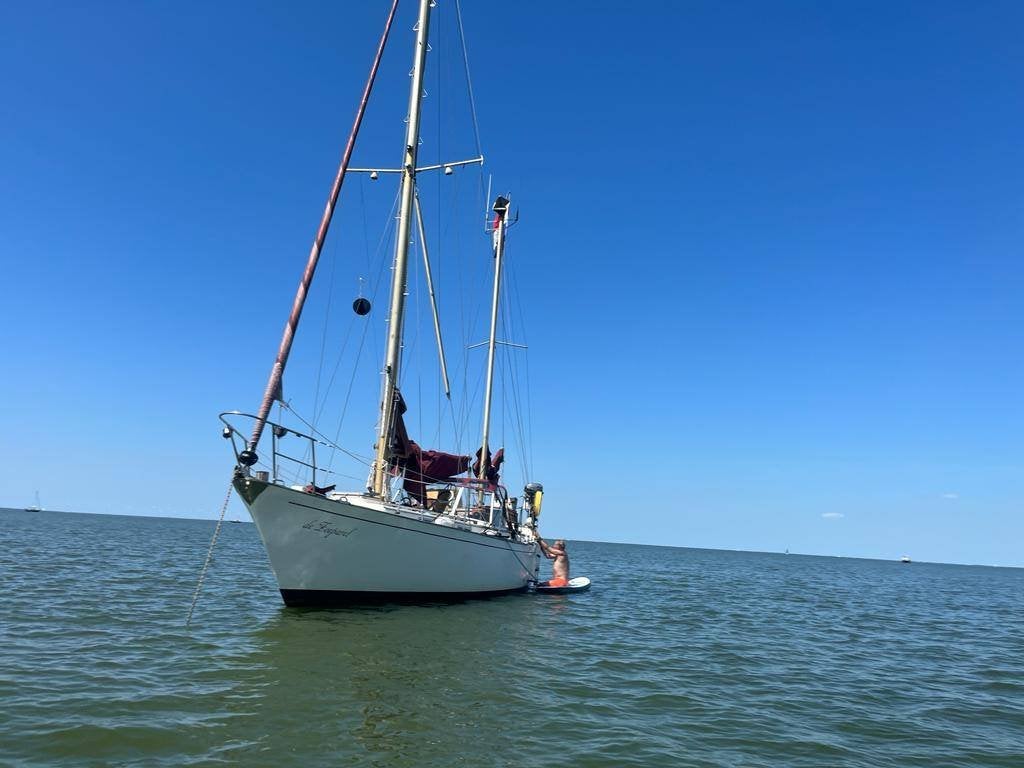 Trintella 3a "de Zeeparel" zeewaardig schip, Watersport en Boten, Ophalen, Gebruikt